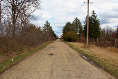 Baharda kırsal asfalt yolu