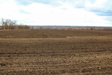 Baharda tarla sürdüm.