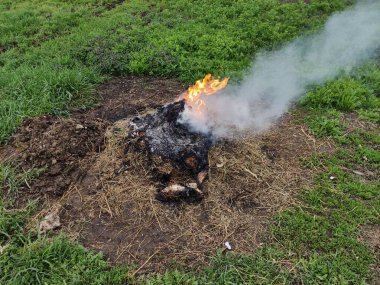 Kırsaldaki sebze bahçesinde şenlik ateşi