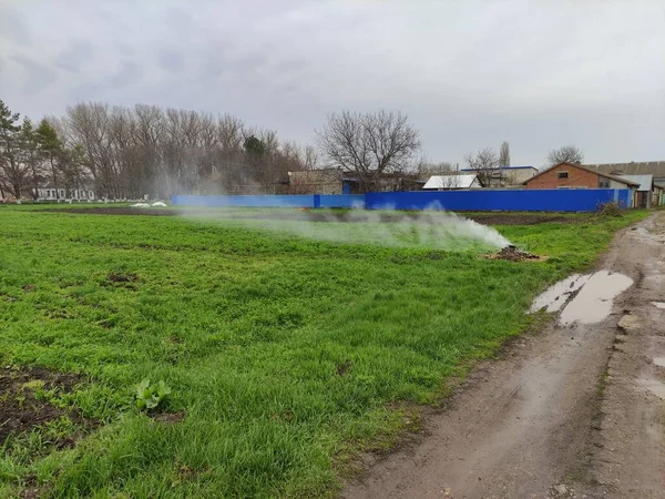 Brasa Grönsaksträdgården Landet — Stockfoto