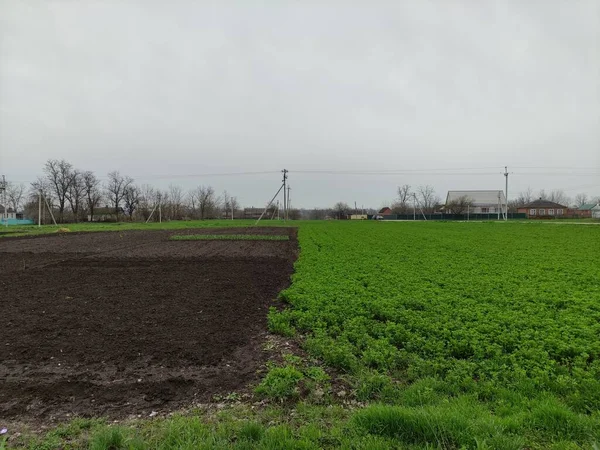 Gemüsegarten Auf Dem Land — Stockfoto