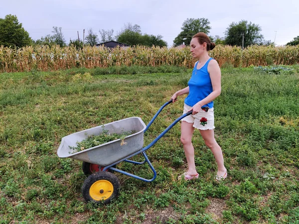 Vrouw Rolt Een Kruiwagen Met Gras Landelijke Omgeving — Stockfoto