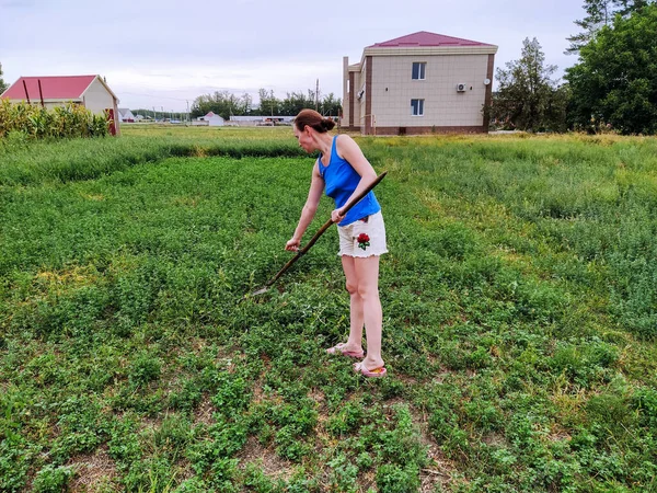 Vrouw Maait Gras Zeis Het Platteland — Stockfoto