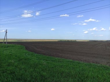 Bir bulutun gölgesinde tarla sürdüm.