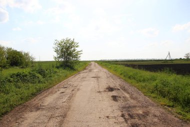 Elektrik hatlarının arka planında tarımsal alanlardan geçen toprak yol