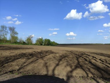 Bir ağaç gölgesi ile tarlaya sürülmüş.