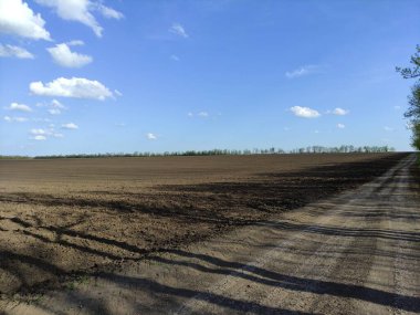 Bir ağaç gölgesi ile tarlaya sürülmüş.