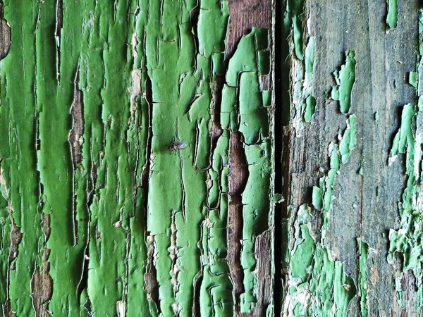 Fondo Vecchie Assi Legno Con Residui Vernice Mosca Seduta — Foto Stock