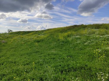 Güzel bir dağ çayırı ve gökyüzündeki bulutlar