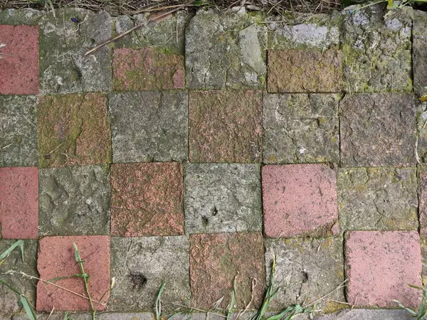 Arrière Plan Vieille Tuile Multicolore Avec Herbe — Photo