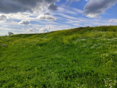 Güzel bir dağ çayırı ve gökyüzündeki bulutlar