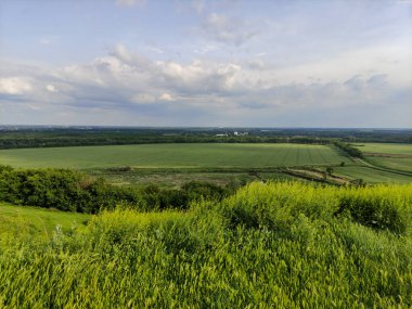 Manzara - vadi, tarlalar, orman ve gökyüzü bulutlarda