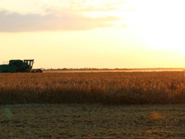 Ziraat alanındaki hasatçıyı batan güneşin arka planına karşı birleştir