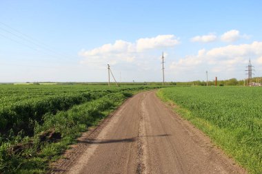 Elektrik hatlarının arka planında tarımsal alanlardan geçen toprak yol