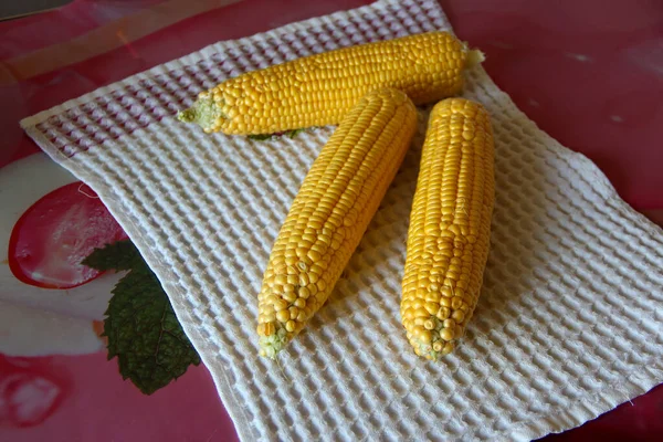 Cobs Fresh Young Corn Towel — Stock Photo, Image