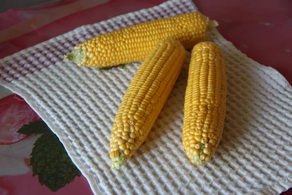 毛巾上的新鲜玉米奶子 — 图库照片