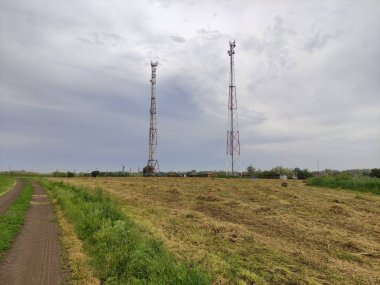 Tarım alanının arka planında haberleşme kuleleri
