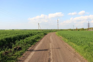 Elektrik hatlarının arka planında tarımsal alanlardan geçen toprak yol