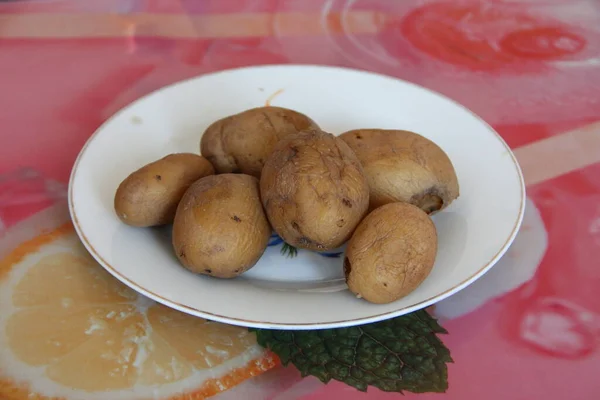 Plate Boiled Potatoes Skin Close — Foto de Stock