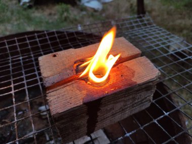 Akşamları küçük kütük yanıkları, Fin mumu türü, üst görünüm.