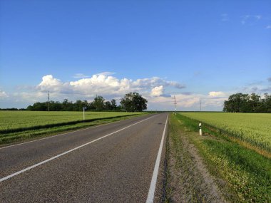 Yaz mevsiminde gün doğumunda tarım arazilerinde asfalt yol