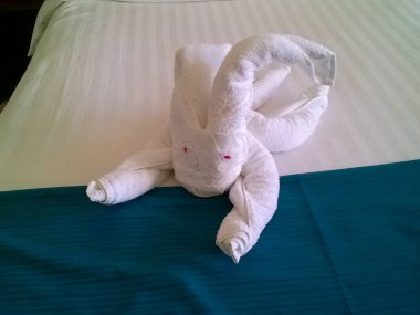 Bir otel çalışanı tarafından havludan yapılmış bir tavşan.