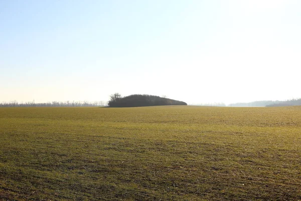 Campo Agrícola Arborizado Zona Climática Quente Com Uma Colina Fundo — Fotografia de Stock