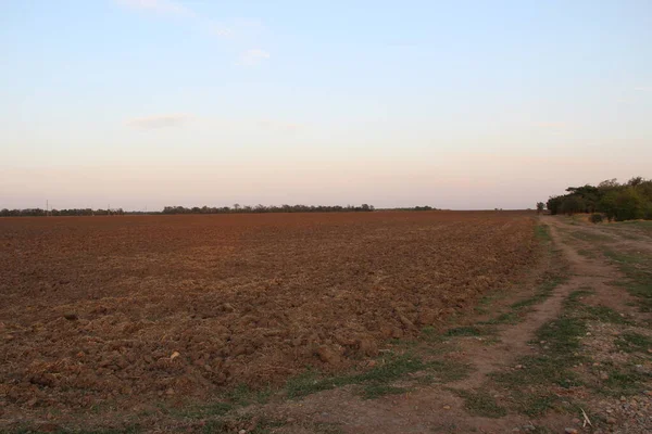 Plowed Agricultural Field Evening — Stock Photo, Image