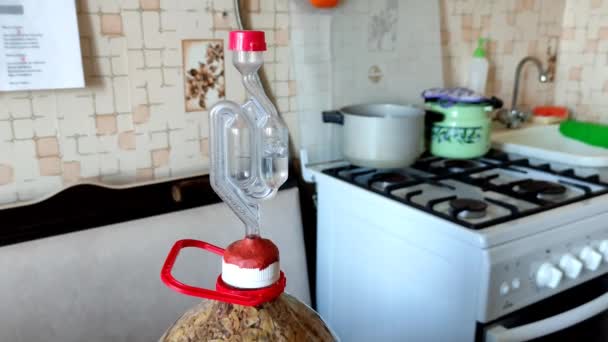 Процесс брожения домашнего вина, пузырьки в водяной пломбе — стоковое видео