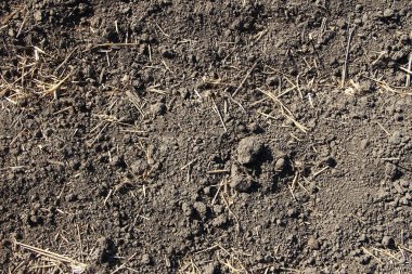 Hasır arlı arkaplan dokusuna sahip tarım alanı zemini