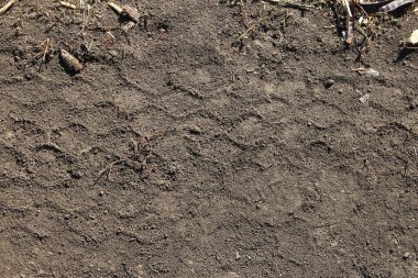 Kuru tarımsal alanda tarım makinelerinin izleri. Tarım sahnesi.