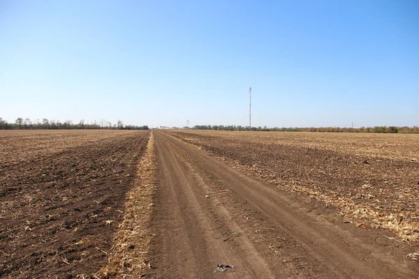 Plowed Field Remnants Corn — Stock Photo, Image
