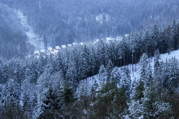 Vinterskog — Stockfoto