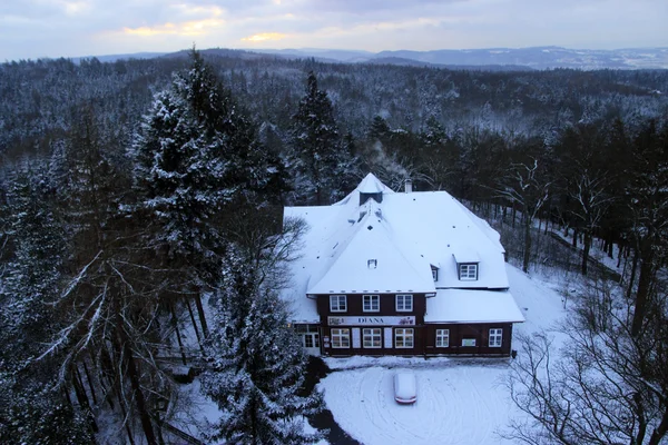 House in the forest — Stock Photo, Image