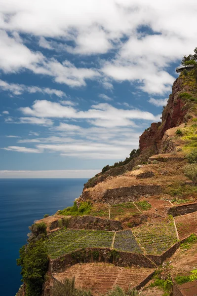 Cabo Girao cliff, Madeira Adası, Portekiz.