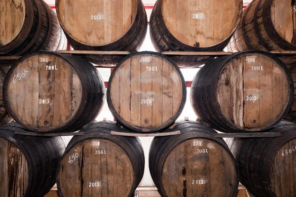 Vieux tonneaux de vin dans la cave à vin, île de Madère . — Photo