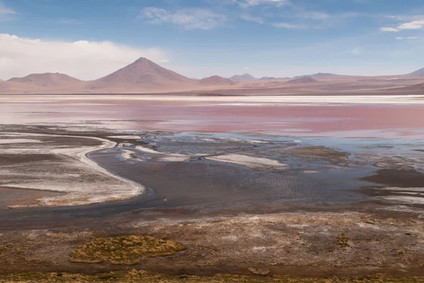 Salar de Uyuni, Laguna Colorada — Foto Stock