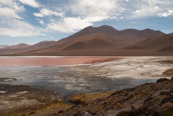 Salar de Uyuni, Laguna Colorada — Stok fotoğraf