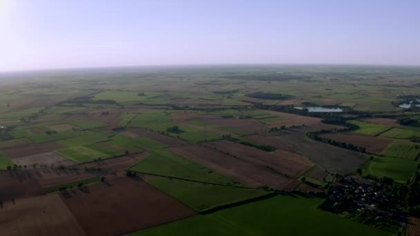 Aerial Drone strzał nad pięknymi polami zielonymi — Wideo stockowe