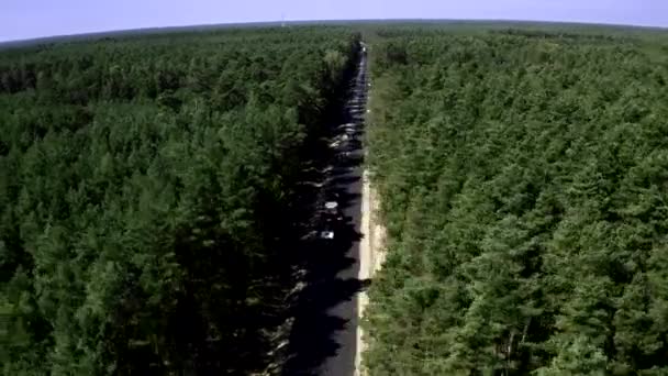 Breite Parallax-Aufnahme einer zweispurigen Straße im tiefen Wald — Stockvideo