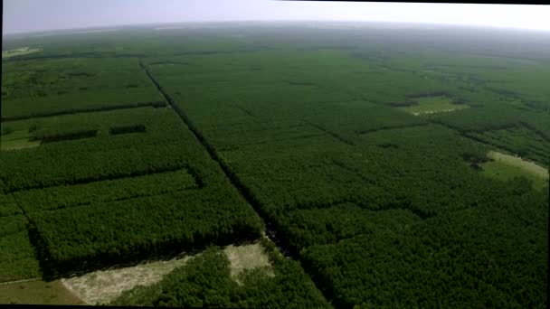 Aerial Drone strzał powyżej pięknych zielonych pól i dwupasmowej drogi — Wideo stockowe