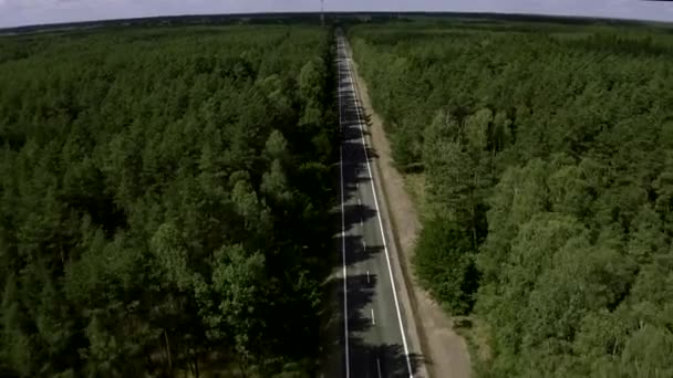 Inclinar-Down tiro acima de uma estrada de duas pistas no meio da floresta verde — Vídeo de Stock