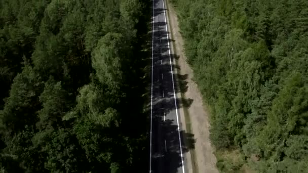 Vuelo por encima de una carretera de dos carriles con coches en medio del bosque verde — Vídeo de stock