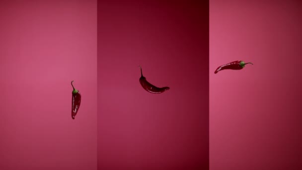 Čerstvé kořeněné chilli papričky vymrštil létání visí ve vzduchu a padá — Stock video