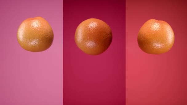Verse grapefruits gegooid omhoog vliegen opknoping in de lucht en vallen — Stockvideo