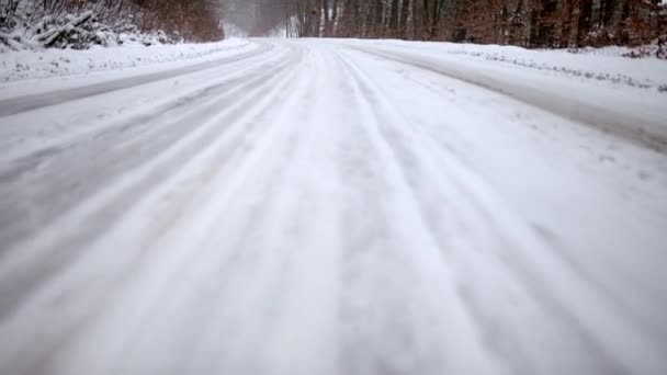 Estrada nevada vazia no meio da floresta — Vídeo de Stock