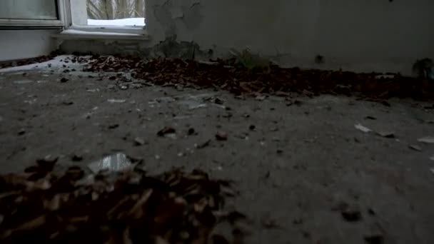 壊れた窓からの雪の森の眺めの遅い啓示 — ストック動画