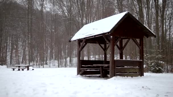 Χειμερινό τοπίο με ξύλινη καμπίνα στο δάσος Καλυμμένο με χιόνι — Αρχείο Βίντεο