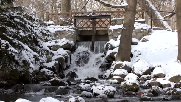 작은 다리 아래에 있는 돌들이 겨울에 떨어지는 아름다운 폭포이시 — 비디오