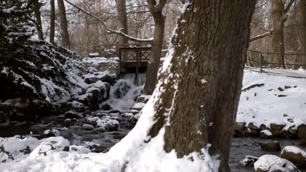 Slowmo Belle cascade glacée en hiver avec des pierres sous un petit pont — Video